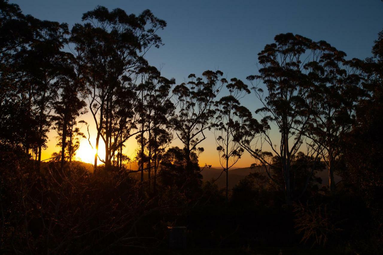 Awesome Glamping Gold Coast Hinterland Hotell Advancetown Eksteriør bilde